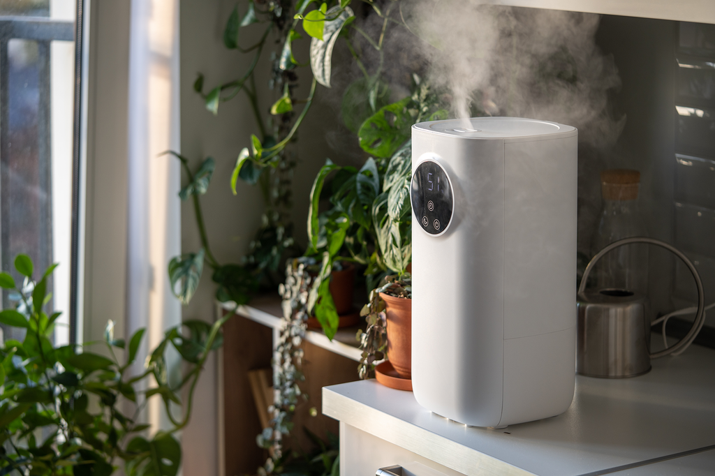 5 Effectieve Tips om Droge Lucht in Huis te Bestrijden